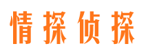 皮山侦探公司